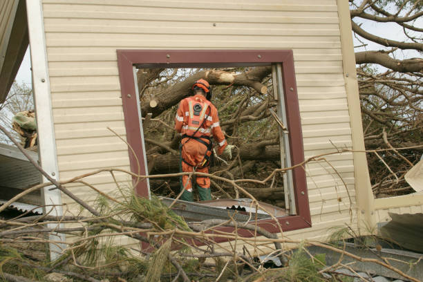 Best Storm Damage Tree Cleanup  in Kewaskum, WI